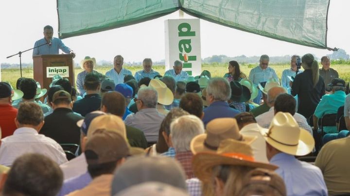 Javier Lamarque reconoce los 70 años de esfuerzo agrícola en el Valle del Yaqui