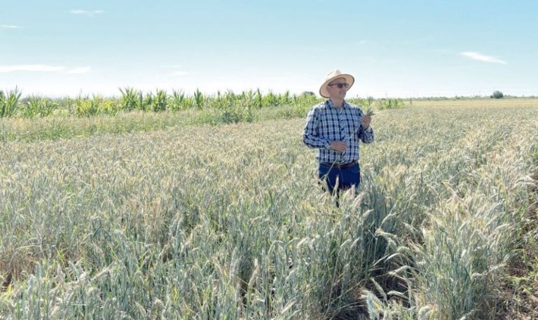 Gilberto Rodríguez Pérez, profesor e investigador que impulsa la agricultura sostenible en el Valle del Yaqui