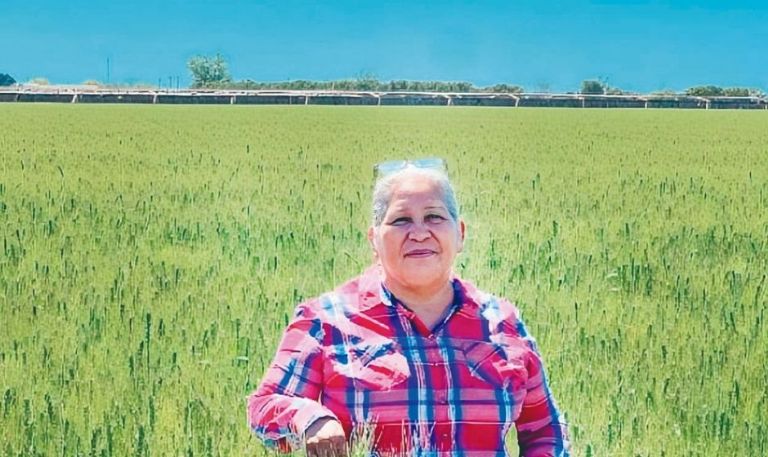 María Rojas: 30 años sembrando vida con orgullo y perseverancia en el Valle del Yaqui