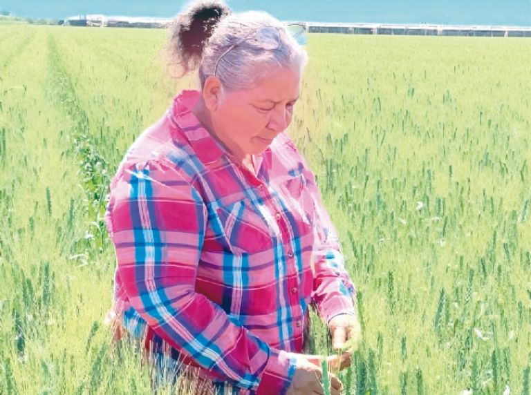 María Rojas: 30 años sembrando vida con orgullo y perseverancia en el Valle del Yaqui