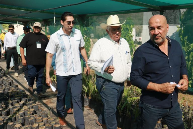 Gobierno de Sonora inicia Programa Estatal de Reforestación 'Por un Sonora Sustentable'