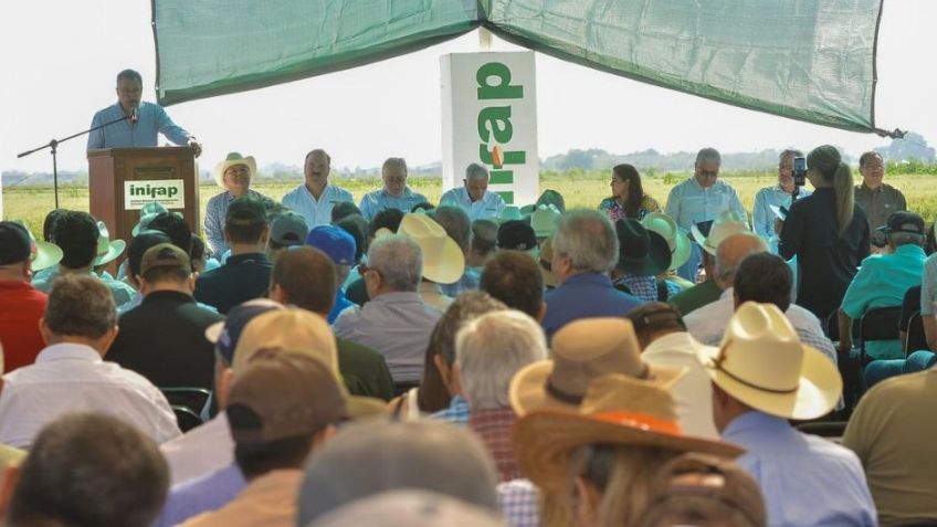 Javier Lamarque reconoce los 70 años de esfuerzo agrícola en el Valle del Yaqui
