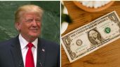 Foto ilustrativa de la nota titulada: Dólares con la firma de Trump: Así serán los nuevos billetes en Estados Unidos este 2026
