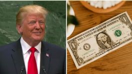 Foto que representa a Dólares con la firma de Trump: Así serán los nuevos billetes en Estados Unidos este 2026
