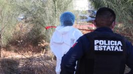 Foto que representa a FGJES procesa restos óseos localizados en Guaymas; buscan identificar a las víctimas