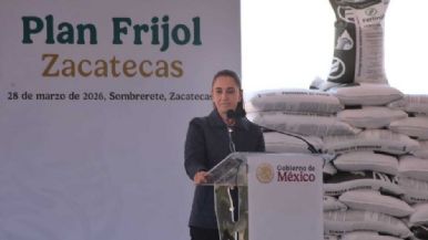 Descripción de la imagen