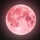 ¿Cuándo y a qué hora será visible la Luna Rosa desde Hermosillo este 1 de abril?