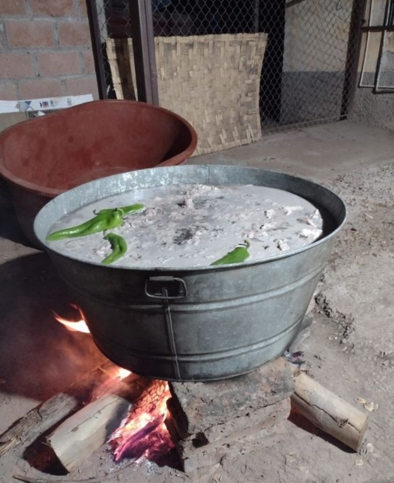 Sonora celebra tradición yoreme: inician fiestas de Chapayecas en Vícam y Tórim con banquete de guacabaqui