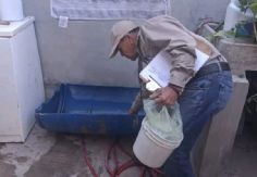 Foto ilustrativa de nota Secretaría de Salud invita a mantener la limpieza del hogar para la prevención de la rickettsia