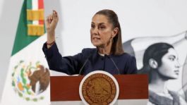 Foto que representa a Sheinbaum anuncia protestas contra EU tras nueva muerte de mexicano bajo custodia del ICE