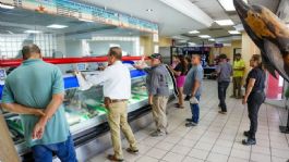 Foto que representa a Cazón, el rey de la Cuaresma en Hermosillo, es el pescado más consumido por su precio accesible