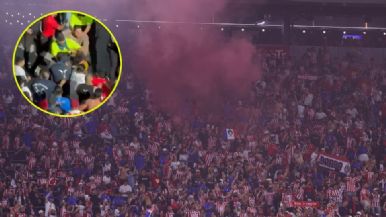 Descripción de la imagen