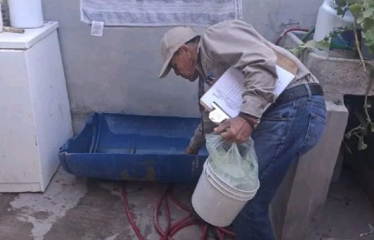 Secretaría de Salud invita a mantener la limpieza del hogar para la prevención de la rickettsia