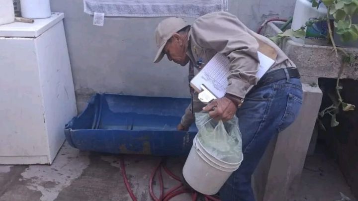 Secretaría de Salud invita a mantener la limpieza del hogar para la prevención de la rickettsia