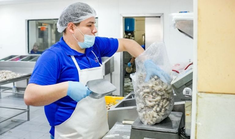 Cazón, el rey de la Cuaresma en Sonora: El pescado más consumido por su precio accesible
