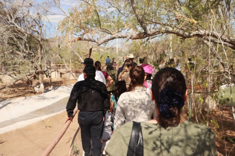 Están listos en el Centro Ecológico de Sonora para exhibir a su jirafa en Semana Mayor