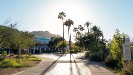 Foto que representa a Bosque Urbano La Sauceda cumple un año y lo celebrará con música, talleres y recorridos guiados