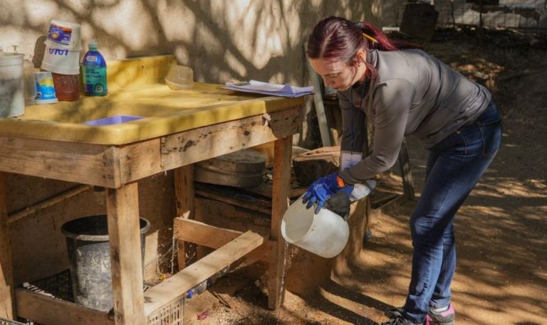Salud Sonora llama a la ciudadanía a prevenir el dengue ante temporada invernal atípica