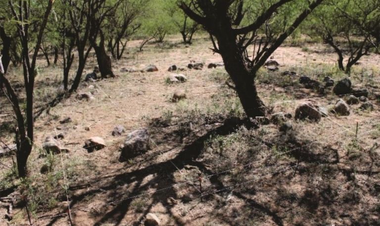 Hallan aldea prehispánica y petrograbados en obras de la construcción del tren Ímuris-Nogales en Sonora