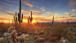 Foto que representa a Clima en Sonora HOY jueves 5 de marzo: CALOR de hasta 32°C y fuertes rachas de viento