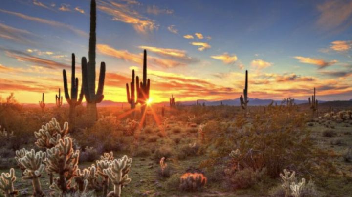 Clima en Sonora HOY jueves 5 de marzo: CALOR de hasta 32°C y fuertes rachas de viento