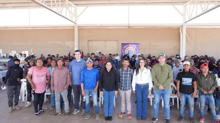 Gobierno de Sonora refuerza vacunación contra el sarampión en distintos campos agrícolas