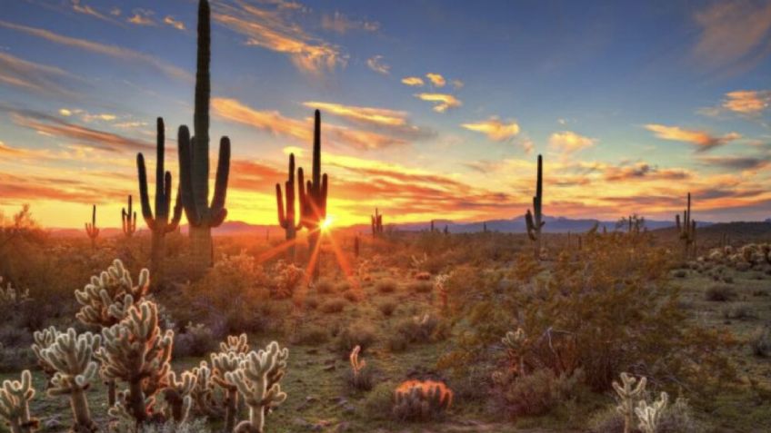Clima en Sonora HOY jueves 5 de marzo: CALOR de hasta 32°C y fuertes rachas de viento