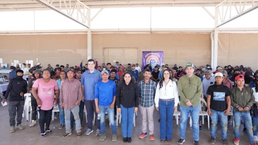 Gobierno de Sonora refuerza vacunación contra el sarampión en distintos campos agrícolas