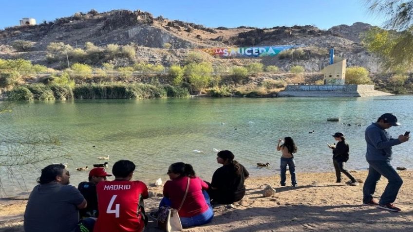 Gobierno invita a celebrar con diversas actividades el primer aniversario del Bosque Urbano La Sauceda