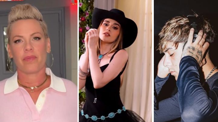 P!nk, Carolina Ross y Lucho SSJ cancelan conciertos en CDMX; Ocesa explica qué pasará con los boletos