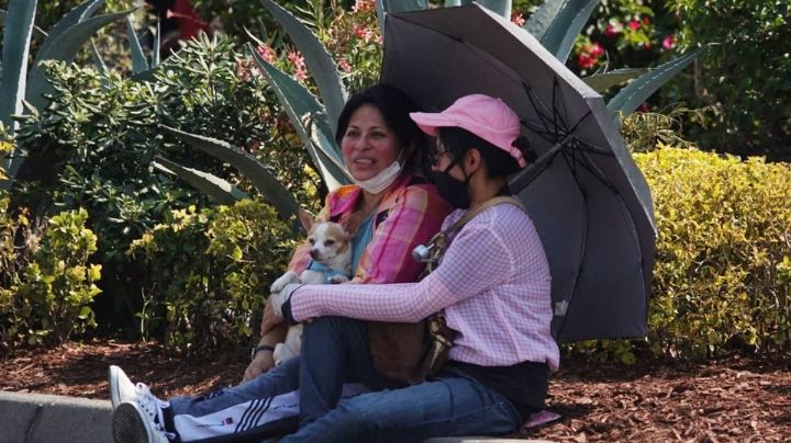 Clima HOY viernes 6 de marzo en la NOCHE: Se esperan vientos y bajada de temperatura