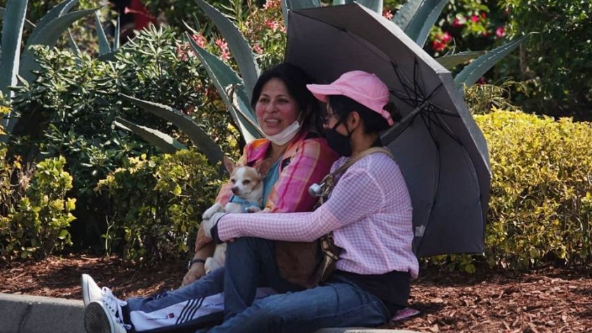 Clima HOY viernes 6 de marzo en la NOCHE: Se esperan vientos y bajada de temperatura