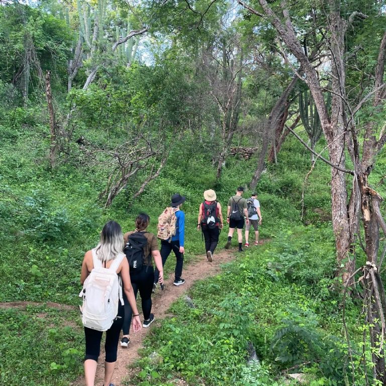 La Sierra de Álamos, un tesoro natural que está en riesgo por incendios y descuidos humanos