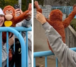 (IMÁGENES) Lisa de BlackPink se encuentra con Punch, el mono bebé viral del zoológico de Japón