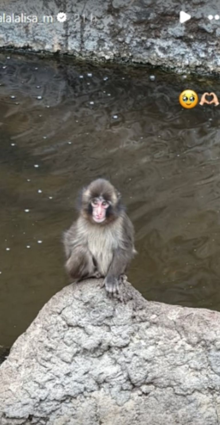 Historia de Instagram 