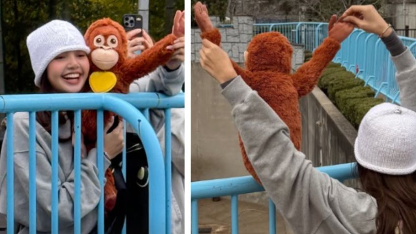 (IMÁGENES) Lisa de BlackPink se encuentra con Punch, el mono bebé viral del zoológico de Japón
