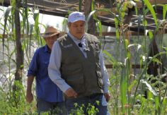 Foto ilustrativa de nota Programa Sembrando Vida en Sonora beneficia a 5 mil sembradores con más de 30 millones de pesos