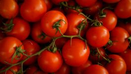 Foto que representa a Inflación en México sube a 4.02% en febrero de 2026; ¿qué productos aumentaron más de precio?