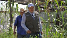 Foto que representa a Programa Sembrando Vida en Sonora beneficia a 5 mil sembradores con más de 30 millones de pesos