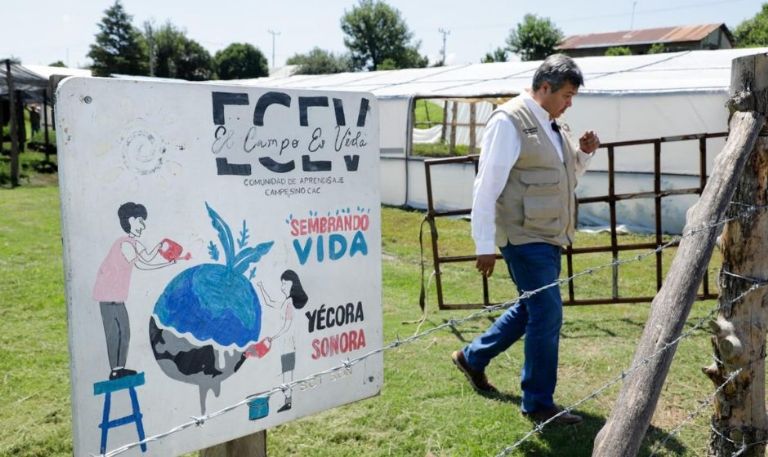 Programa Sembrando Vida en Sonora beneficia a 5 mil sembradores con más de 30 millones de pesos