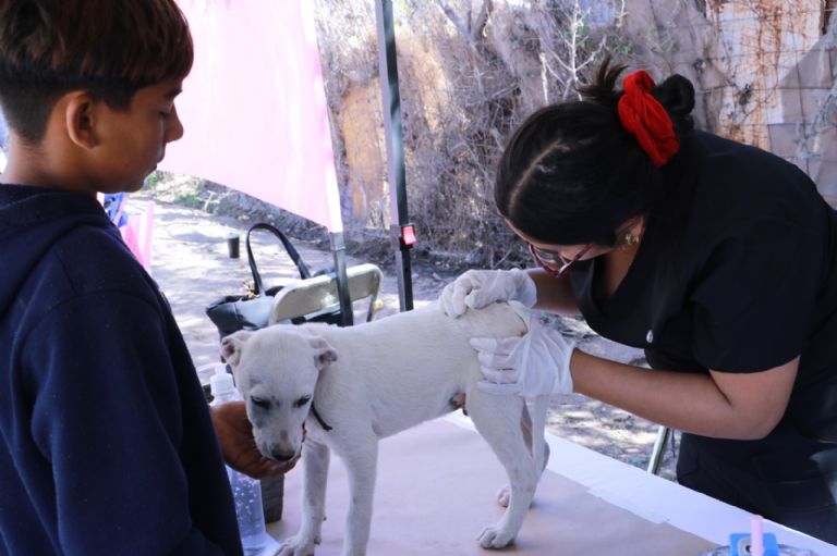   ?Brigada de salud Unison acerca servicios y aprendizaje comunitario al poblado de Miguel Alemán